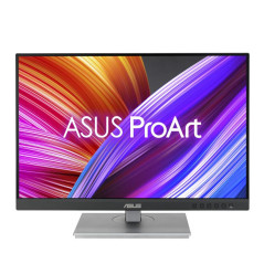 Écrans plats de PC - ASUS - PA248CNV | Soul Rebel E-Shop