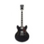 D'ANGELICO Premier DC Black Flake