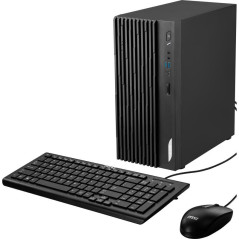 PC/postes de travail - MSI - Pro DP180 13TC-010EU | Soul Rebel E-Shop