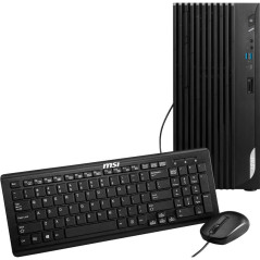 PC/postes de travail - MSI - Pro DP180 13TC-010EU | Soul Rebel E-Shop