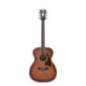 D'ANGELICO Premier Tammany Caramel Burst
