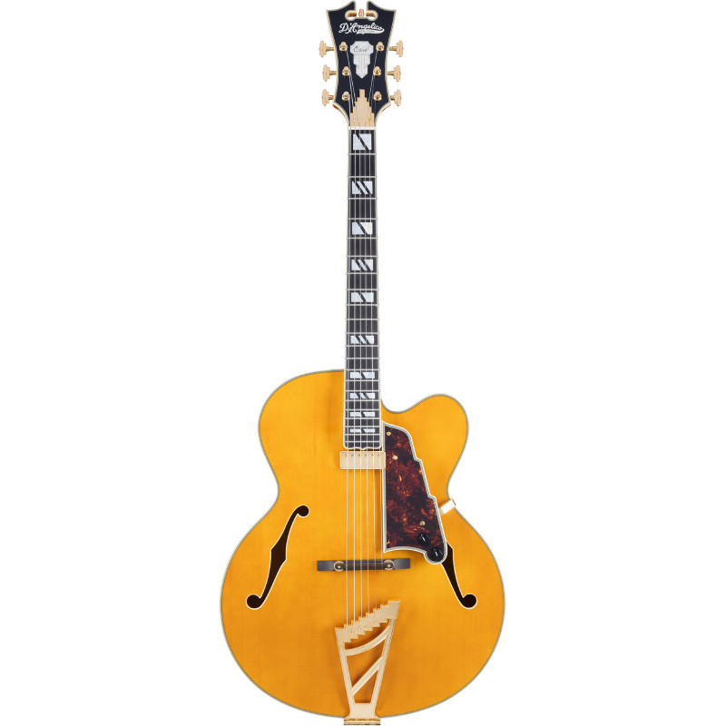 D'ANGELICO Excel EXL-1 Amber