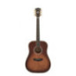 D'ANGELICO Lexington Autumn Burst