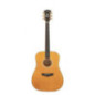 D'ANGELICO Lexington Vintage Natural
