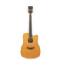 D'ANGELICO Bowery Vintage Natural