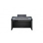 KURZWEIL CUP-P1 SR