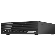 PC/postes de travail - MSI - PRO DP21 12M-298EU | Soul Rebel E-Shop