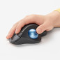 Souris - Logitech - ERGO M575 Trackball