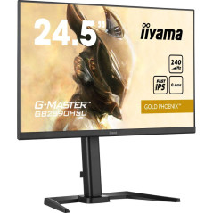 Écrans plats de PC - iiyama - GB2590HSU-B5 | Soul Rebel E-Shop