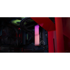 Modules de mémoire - Kingston Technology - 8GB 3200MT/s DDR4 CL16 DIMM FURY Beast RGB | Soul Rebel E-Shop