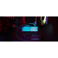Modules de mémoire - Kingston Technology - 32GB 3600MT/s DDR4 CL18 DIMM (Kits de 2) FURY Beast RGB | Soul Rebel E-Shop
