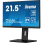 Écrans plats de PC - iiyama - XUB2292HSU-B6