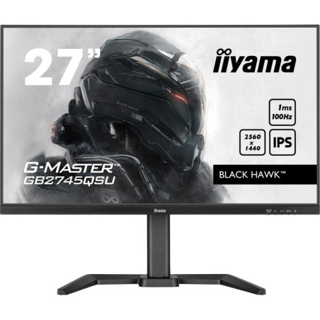Écrans plats de PC - iiyama - GB2745QSU-B1 | Soul Rebel E-Shop