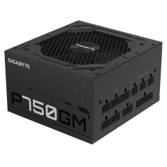 Unités d'alimentation d'énergie - GIGABYTE - P750GM | Soul Rebel E-Shop