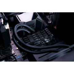 Modules de mémoire - Kingston Technology - 32 Go 3600 MT/s DDR4 CL16 DIMM (Kits de 2) 2RX8 FURY Renegade Black | Soul Rebel E-Sh