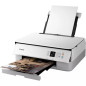 Imprimantes multifonctions - Canon - TS5351i