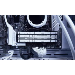 Modules de mémoire - Kingston Technology - 64 Go 6000 MT/s DDR5 CL36 DIMM (Kits de 2) FURY Beast White EXPO | Soul Rebel E-Shop