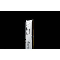 Modules de mémoire - Kingston Technology - 64 Go 6000 MT/s DDR5 CL36 DIMM (Kits de 2) FURY Beast White EXPO | Soul Rebel E-Shop