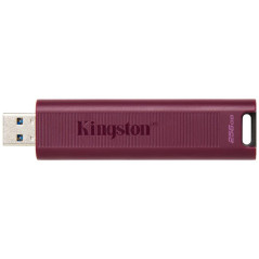 Lecteurs USB flash - Kingston Technology - 256GB DataTraveler Max Type-A 1000R/900W USB 3.2 Gen 2 | Soul Rebel E-Shop