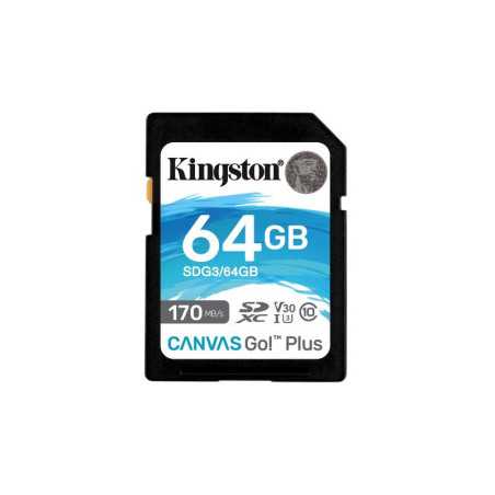 Cartes mémoire - Kingston Technology - Carte SDXC Canvas Go Plus 170R C10 UHS-I U3 V30 de 64 Go | Soul Rebel E-Shop