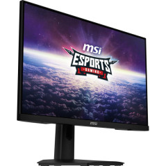 Écrans plats de PC - MSI - G244F E2 | Soul Rebel E-Shop
