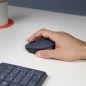 Souris - Logitech - M170 Grey-K