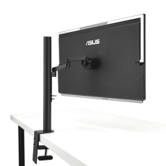 Écrans plats de PC - ASUS - MB249C | Soul Rebel E-Shop