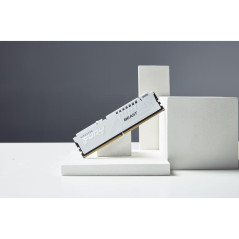 Modules de mémoire - Kingston Technology - 16GB 6000MT/s DDR5 CL36 DIMM FURY Beast White EXPO | Soul Rebel E-Shop
