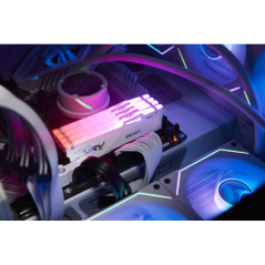 Modules de mémoire - Kingston Technology - 16GB 6000MT/s DDR5 CL36 DIMM FURY Beast White RGB EXPO | Soul Rebel E-Shop