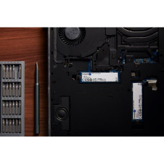 Disques SSD - Kingston Technology - 4000G NV3 M.2 2280 NVMe SSD | Soul Rebel E-Shop