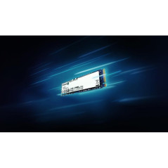 Disques SSD - Kingston Technology - 1000G NV3 M.2 2280 NVMe SSD | Soul Rebel E-Shop
