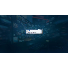 Disques SSD - Kingston Technology - 1000G NV3 M.2 2280 NVMe SSD | Soul Rebel E-Shop