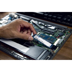 Disques SSD - Kingston Technology - 2000G NV3 M.2 2280 NVMe SSD | Soul Rebel E-Shop