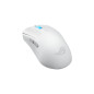 Souris - ASUS - ROG Harpe Ace Mini