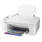 Imprimantes multifonctions - Canon - TS3751i