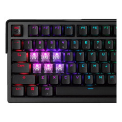 Claviers - ASUS - ROG Azoth Extreme | Soul Rebel E-Shop
