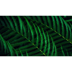 Écrans plats de PC - Philips - 27B2G5601/00 | Soul Rebel E-Shop