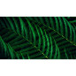 Écrans plats de PC - Philips - 27B2G5601/00