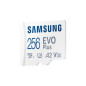 Cartes mémoire - Samsung - Carte MicroSD EVO Plus (2024) 256 Go
