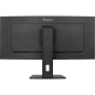 Écrans plats de PC - iiyama - XCB3497WQSNP-B1