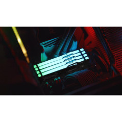 Modules de mémoire - Kingston Technology - 64GB 6000MT/s DDR5 CL30 DIMM (Kits de 2) FURY Beast RGB EXPO | Soul Rebel E-Shop