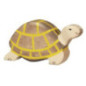 pièce 1 Tortue - jouet à l'ancienne