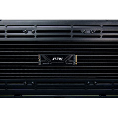 Disques SSD - Kingston Technology - 1T FURY RENEGADE G5 M.2 2280 NVMe SSD | Soul Rebel E-Shop
