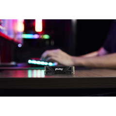 Disques SSD - Kingston Technology - 1T FURY RENEGADE G5 M.2 2280 NVMe SSD | Soul Rebel E-Shop