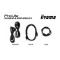 Écrans plats de PC - iiyama - XUB2490HSUH-B2