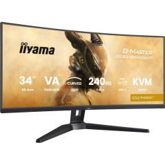Écrans plats de PC - iiyama - GCB3486WQSCP-B1 | Soul Rebel E-Shop