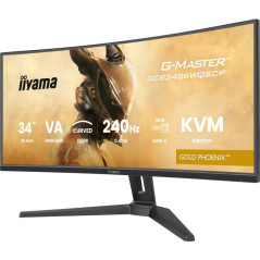 Écrans plats de PC - iiyama - GCB3486WQSCP-B1 | Soul Rebel E-Shop