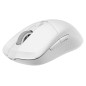 Souris - MSI - Versa 300 Wireless