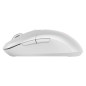 Souris - MSI - Versa 300 Wireless