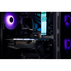 Disques SSD - Kingston Technology - 2T FURY RENEGADE G5 M.2 2280 NVMe SSD | Soul Rebel E-Shop